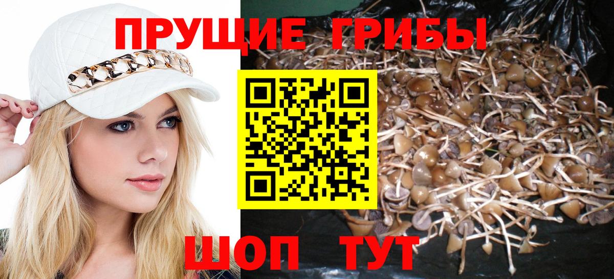 Псилоцибиновые грибы GOLDEN TEACHER Нефтеюганск