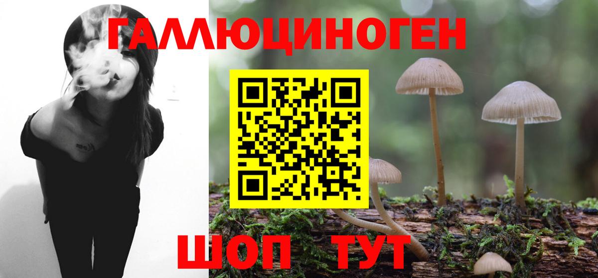 Псилоцибиновые грибы Psilocybine cubensis  Галлюциногенные грибы прущие грибы  Вход с VPN  Нефтеюганск 